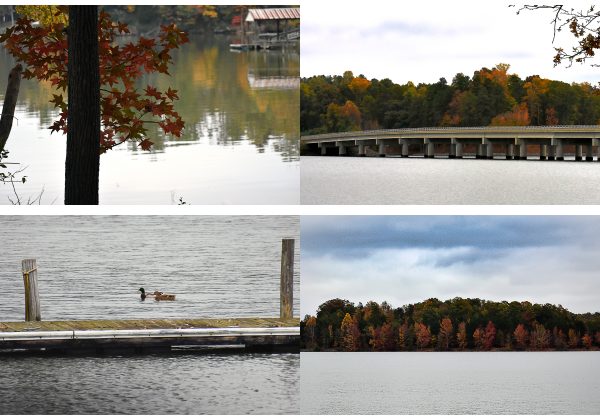 Lake Wylie card series